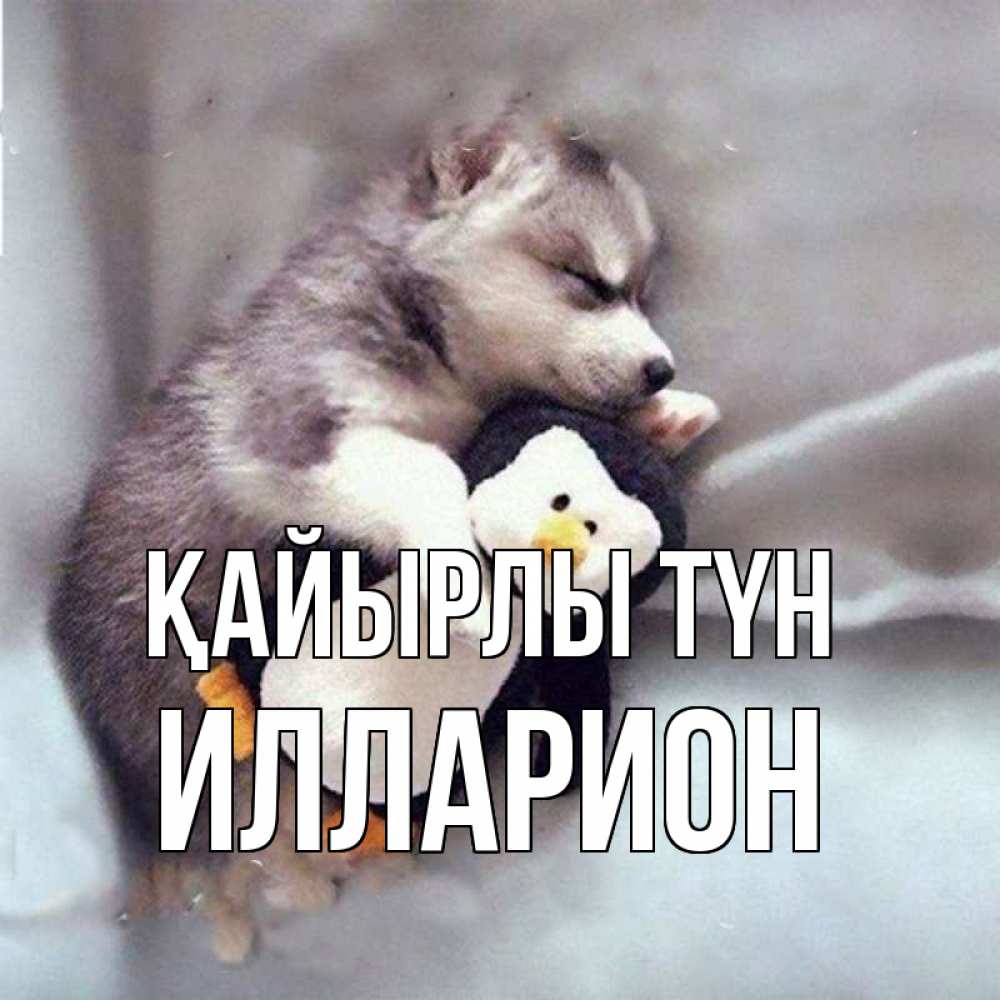 Күн сайын ашық хат с именем, Илларион Қайырлы түн обнимашки щенка и пингвина Онлайн тегін жүктеп алу тілектері бар керемет карта 