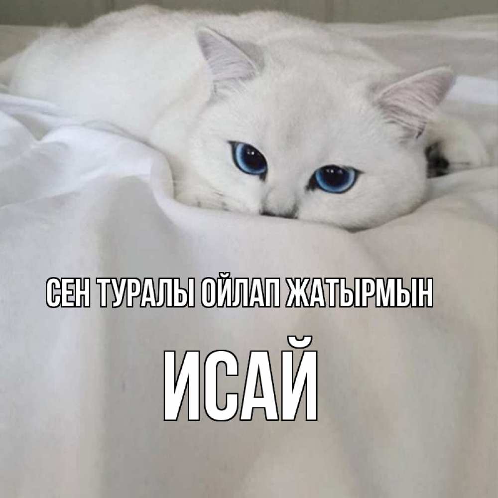Күн сайын ашық хат с именем, Исай Сен туралы ойлап жатырмын я очень по тебе скучаю и тоскую Онлайн тегін жүктеп алу тілектері бар керемет карта 