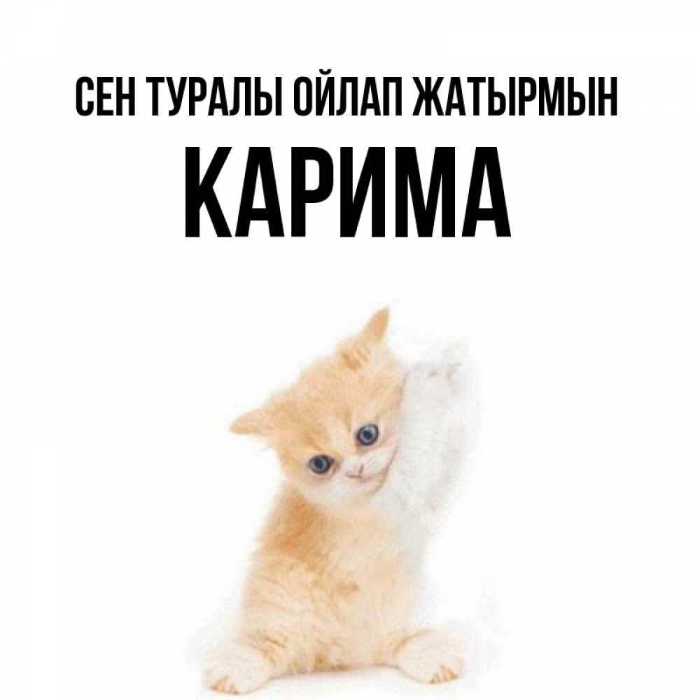 Күн сайын ашық хат с именем, Карима Сен туралы ойлап жатырмын зверушки и милота Онлайн тегін жүктеп алу тілектері бар керемет карта 