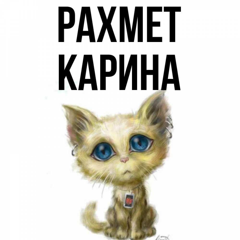 Күн сайын ашық хат с именем, Карина рахмет рисованный кот благодарит вас Онлайн тегін жүктеп алу тілектері бар керемет карта 