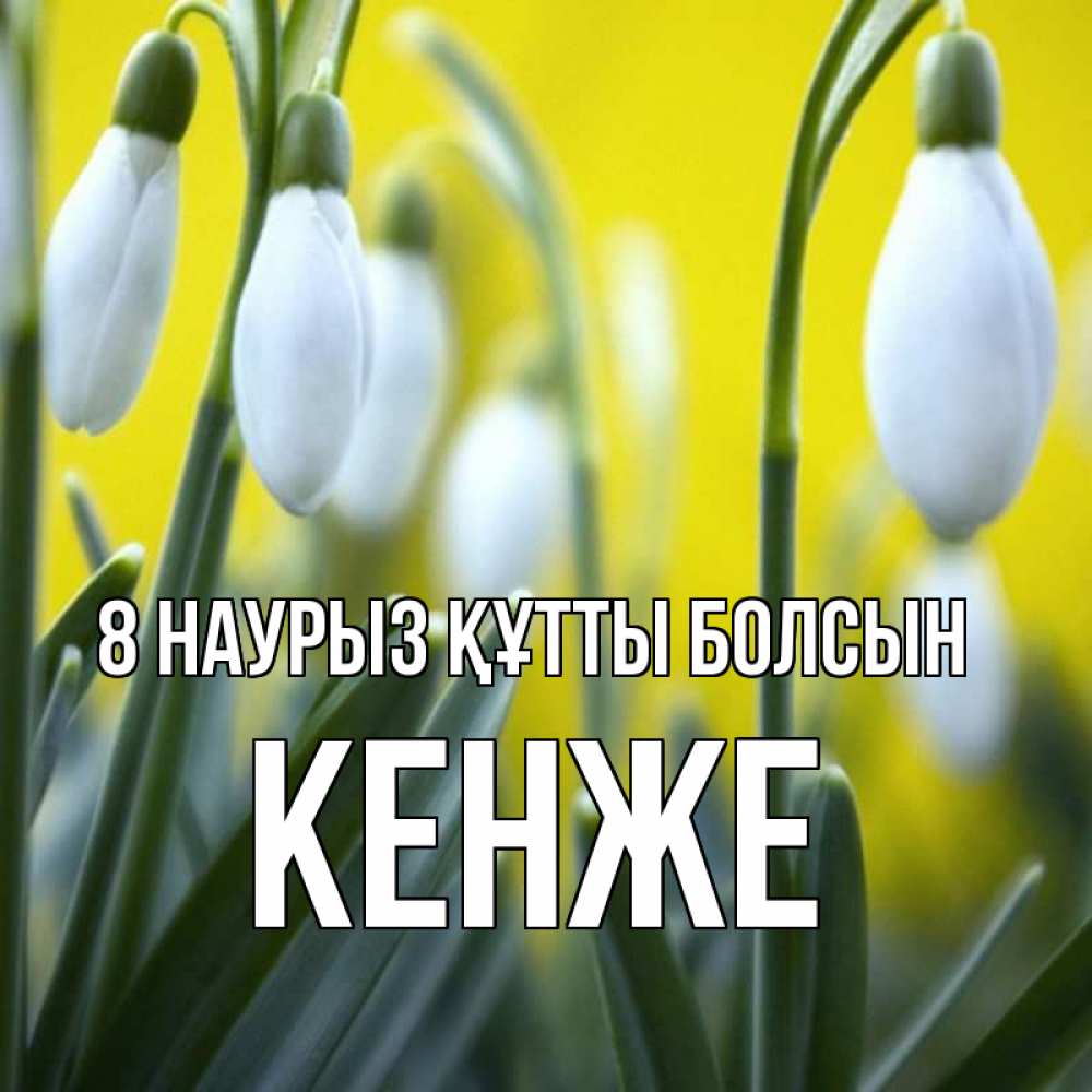 Күн сайын ашық хат с именем, Кенже 8 наурыз құтты болсын весенние цветы Онлайн тегін жүктеп алу тілектері бар керемет карта 