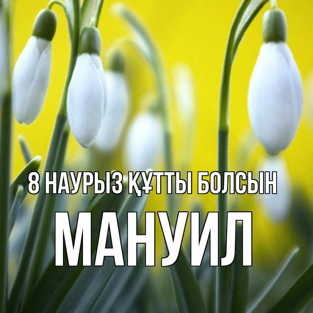 Күн сайын ашық хат с именем, Мануил 8 наурыз құтты болсын весенние цветы Онлайн тегін жүктеп алу тілектері бар керемет карта 