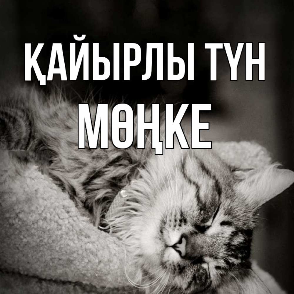 Күн сайын ашық хат с именем, МӨҢКЕ Қайырлы түн котярик пушистый Онлайн тегін жүктеп алу тілектері бар керемет карта 