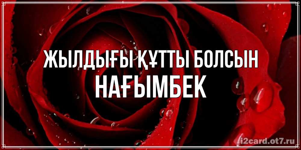 Күн сайын ашық хат с именем, НАҒЫМБЕК Жылдығы құтты болсын крупная бордовая роза Онлайн тегін жүктеп алу тілектері бар керемет карта 