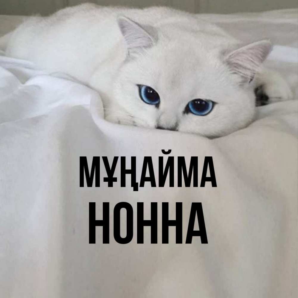 Күн сайын ашық хат с именем, Нонна Мұңайма Голубоглазая кошка Онлайн тегін жүктеп алу тілектері бар керемет карта 