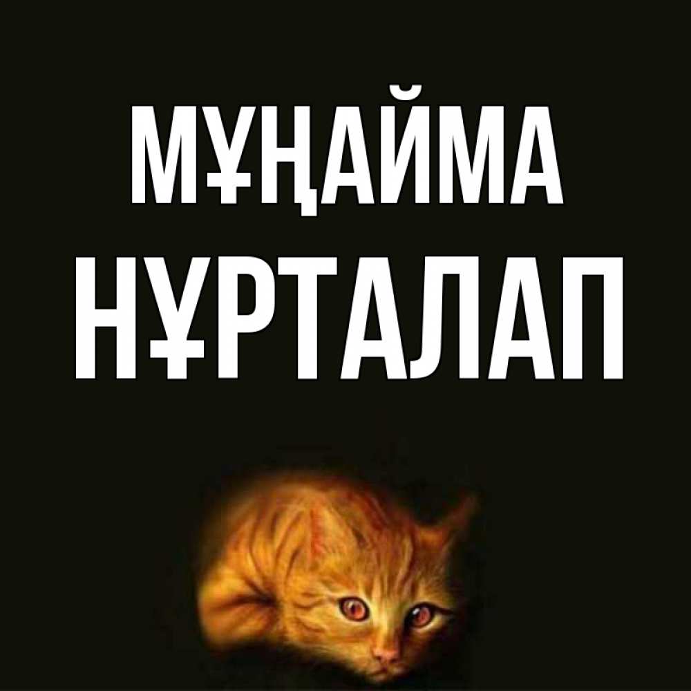 Күн сайын ашық хат с именем, НҰРТАЛАП Мұңайма лежащий кот в темноте Онлайн тегін жүктеп алу тілектері бар керемет карта 