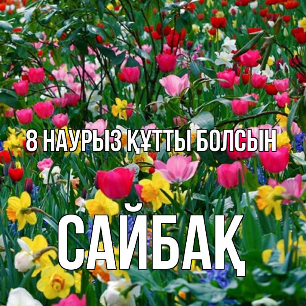 Күн сайын ашық хат с именем, САЙБАҚ 8 наурыз құтты болсын с международным женским днем поздравления для женщины Онлайн тегін жүктеп алу тілектері бар керемет карта 