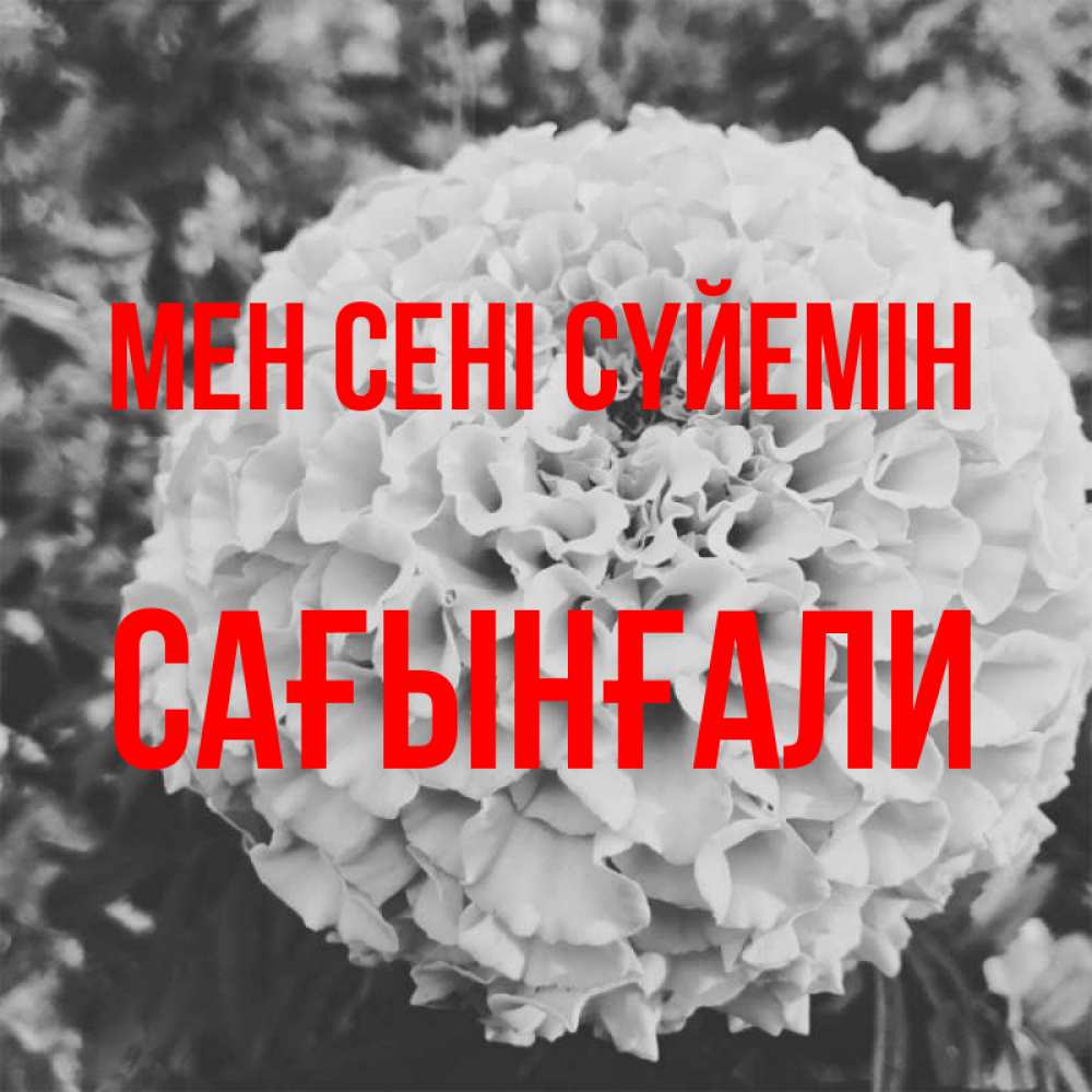 Күн сайын ашық хат с именем, Сағынғали Мен сені сүйемін подпись Онлайн тегін жүктеп алу тілектері бар керемет карта 