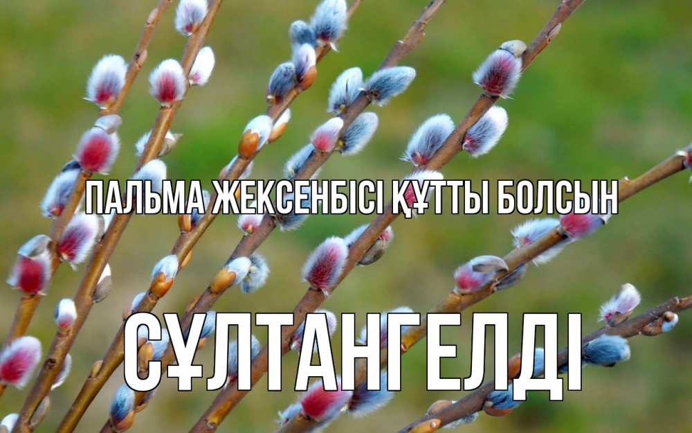 Күн сайын ашық хат с именем, СҰЛТАНГЕЛДІ Пальма жексенбісі құтты болсын верба Онлайн тегін жүктеп алу тілектері бар керемет карта 