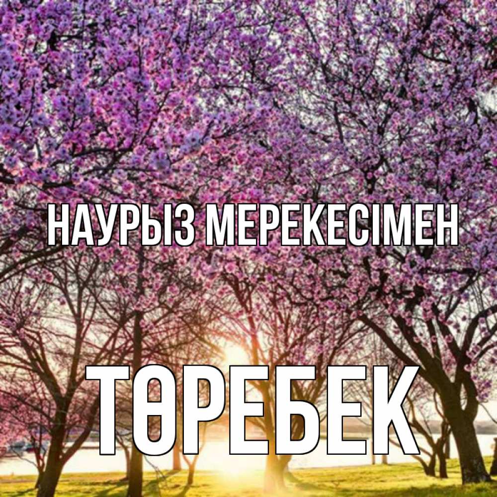 Күн сайын ашық хат с именем, ТӨРЕБЕК Наурыз мерекесімен праздник весны наурыз Онлайн тегін жүктеп алу тілектері бар керемет карта 