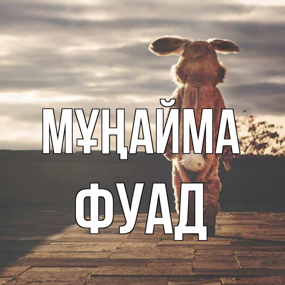 Күн сайын ашық хат с именем, Фуад Мұңайма со спины Онлайн тегін жүктеп алу тілектері бар керемет карта 