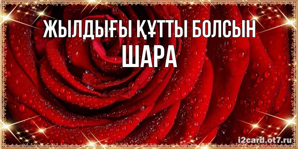 Күн сайын ашық хат с именем, ШАРА Жылдығы құтты болсын роса на розе блестящая в лучах солнца Онлайн тегін жүктеп алу тілектері бар керемет карта 