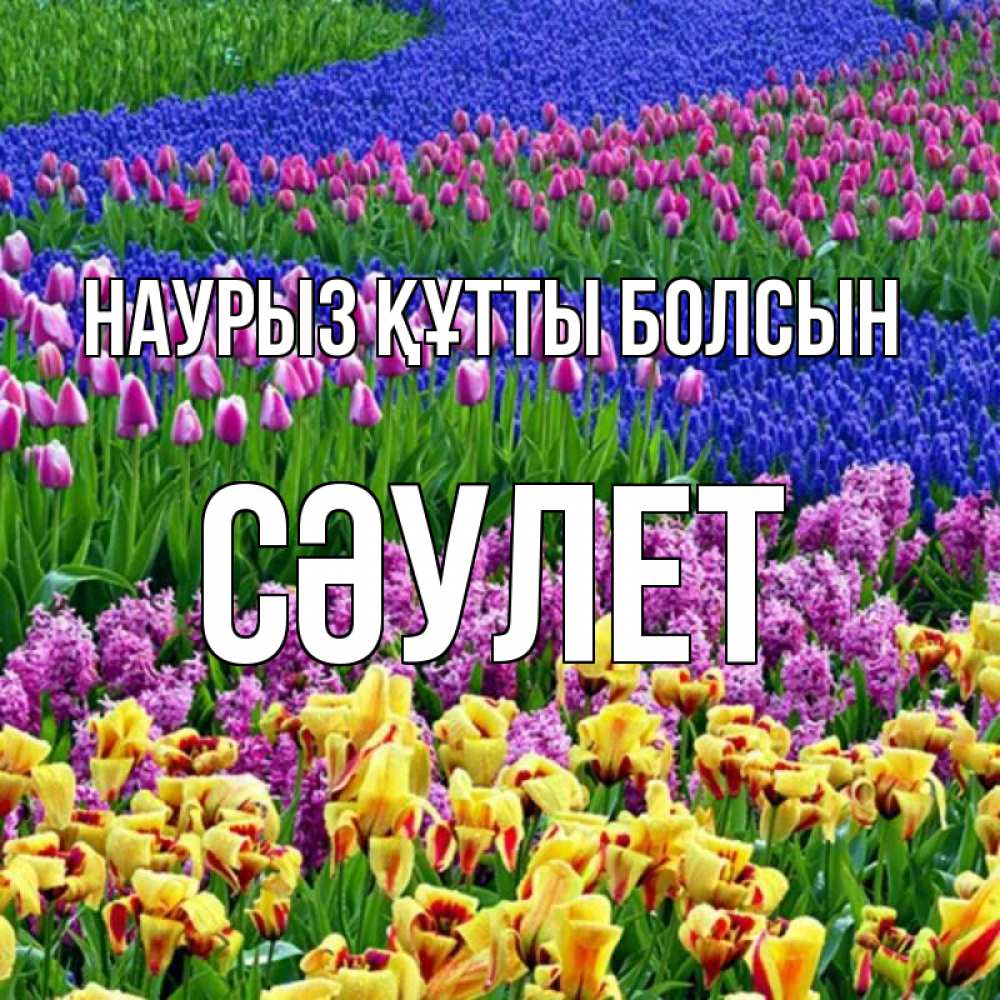 Күн сайын ашық хат с именем, СӘУЛЕТ Наурыз құтты болсын цветы Онлайн тегін жүктеп алу тілектері бар керемет карта 