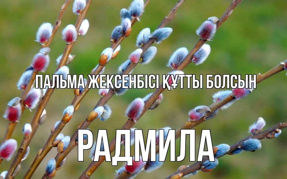 Картинка Пальма жексенбісі құтты болсын, Радмила