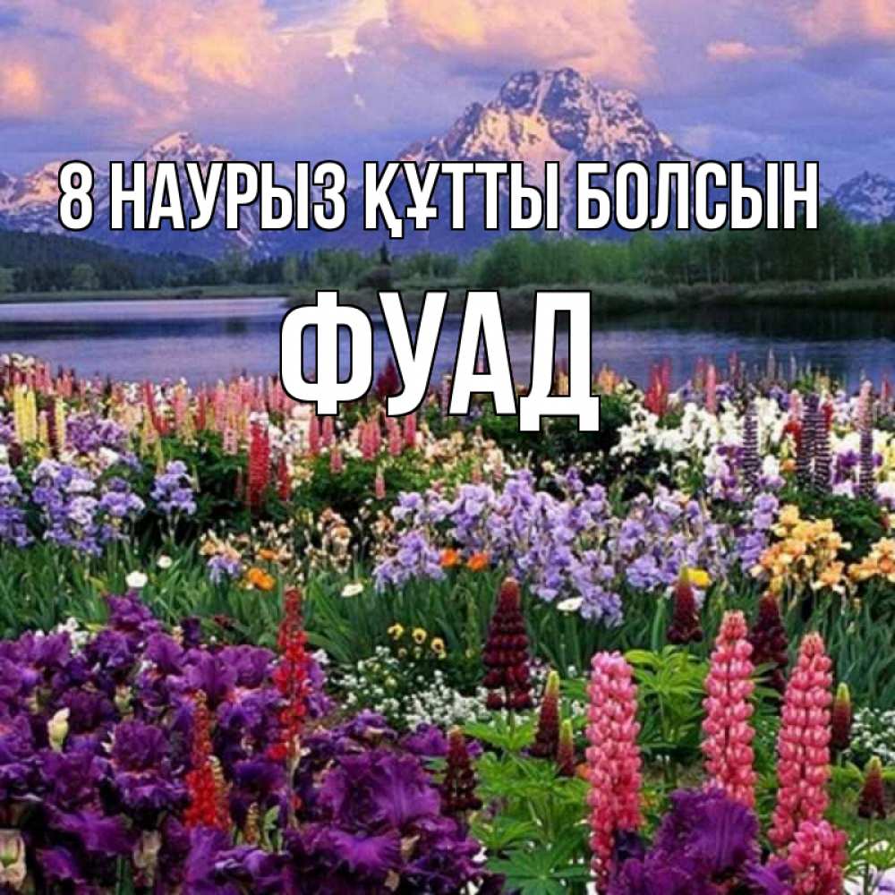 Күн сайын ашық хат с именем, Фуад 8 наурыз құтты болсын международный женский день Онлайн тегін жүктеп алу тілектері бар керемет карта 
