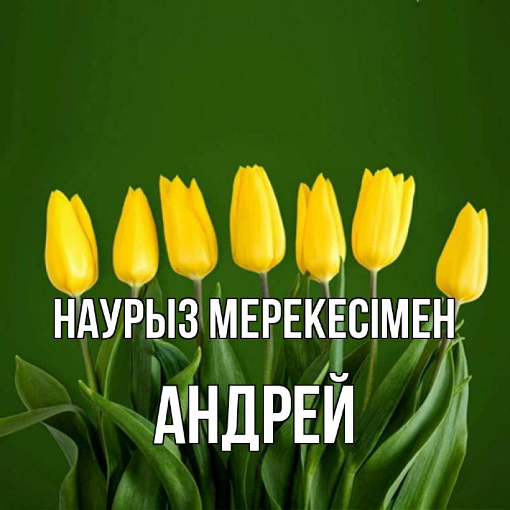 Күн сайын ашық хат с именем, Андрей Наурыз мерекесімен желтого цвета 3 Онлайн тегін жүктеп алу тілектері бар керемет карта 