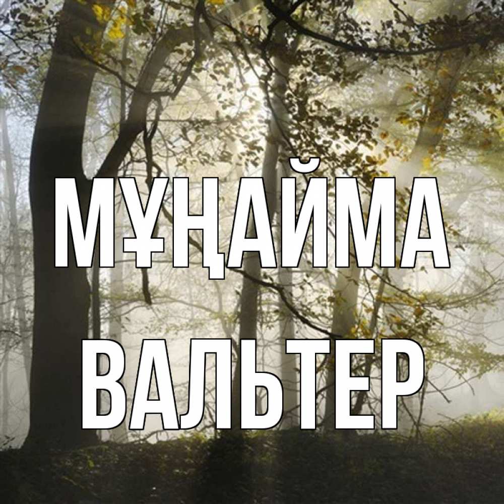 Күн сайын ашық хат с именем, Вальтер Мұңайма лес и свет Онлайн тегін жүктеп алу тілектері бар керемет карта 