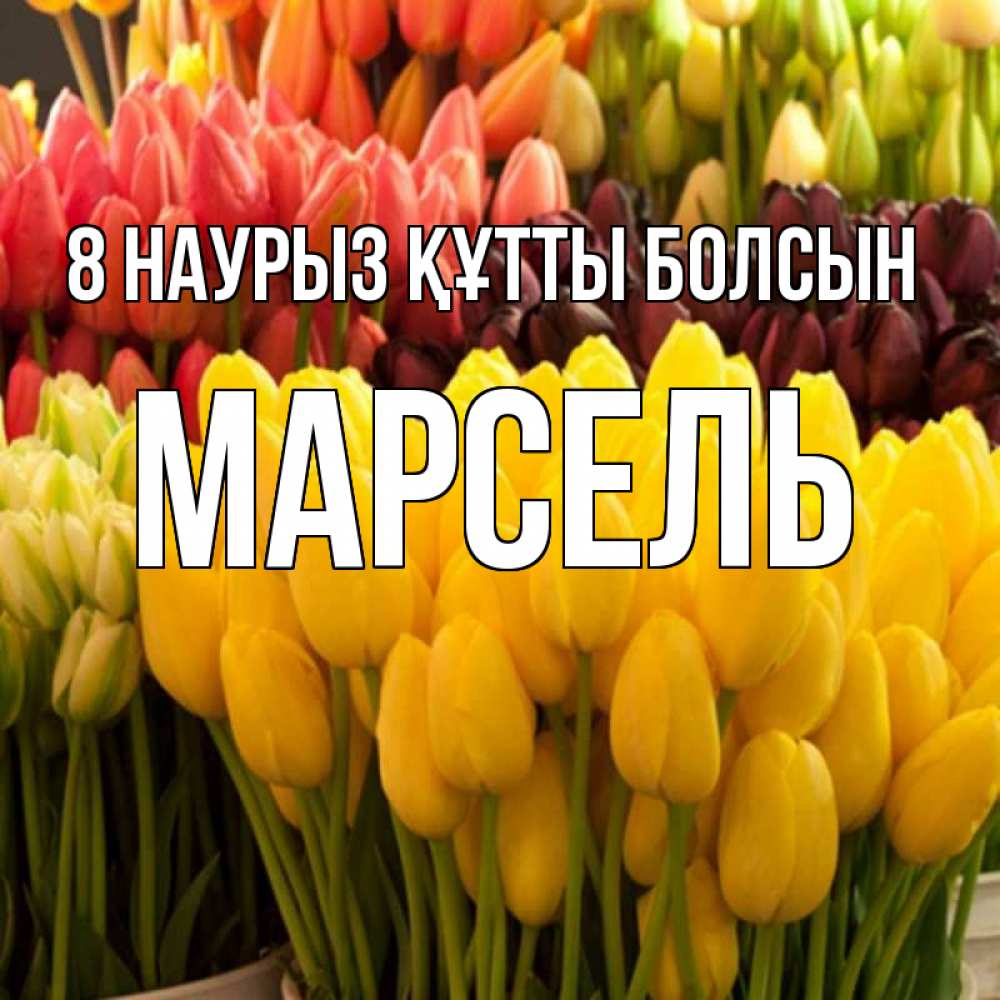 Күн сайын ашық хат с именем, Марсель 8 наурыз құтты болсын цветы Онлайн тегін жүктеп алу тілектері бар керемет карта 