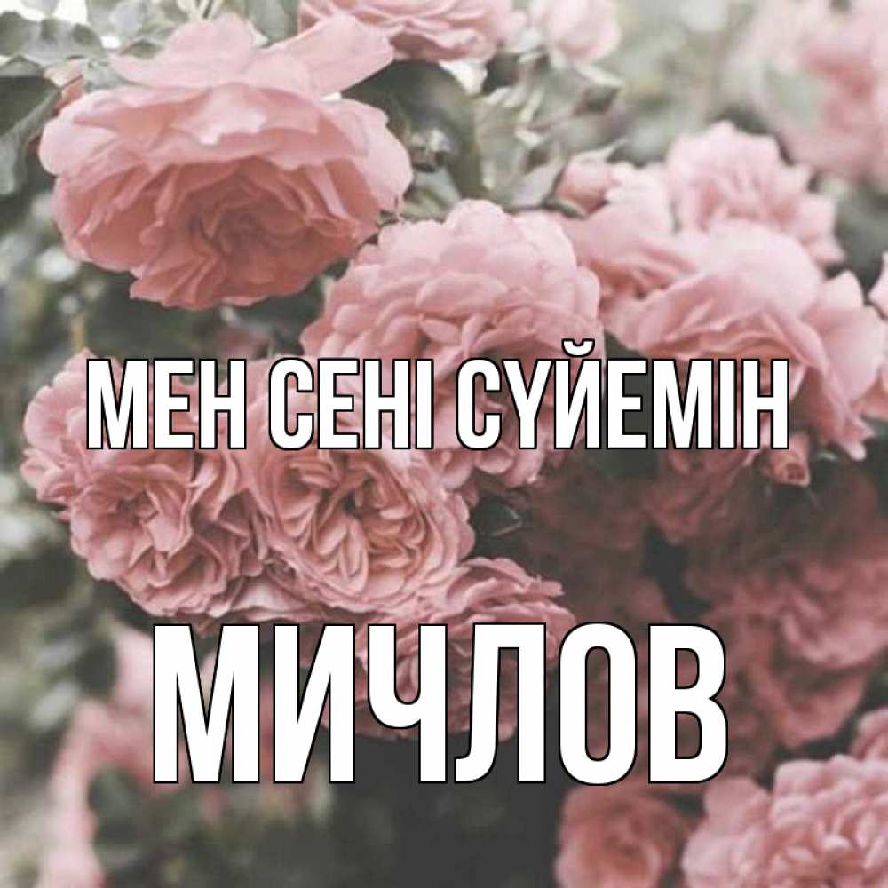 Күн сайын ашық хат с именем, Мичлов Мен сені сүйемін розы 3 Онлайн тегін жүктеп алу тілектері бар керемет карта 