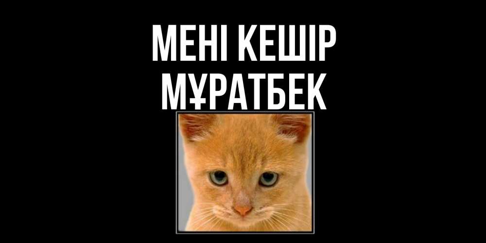 Күн сайын ашық хат с именем, Мұратбек Мені кешір рыжий грустный кот просит прощения Онлайн тегін жүктеп алу тілектері бар керемет карта 
