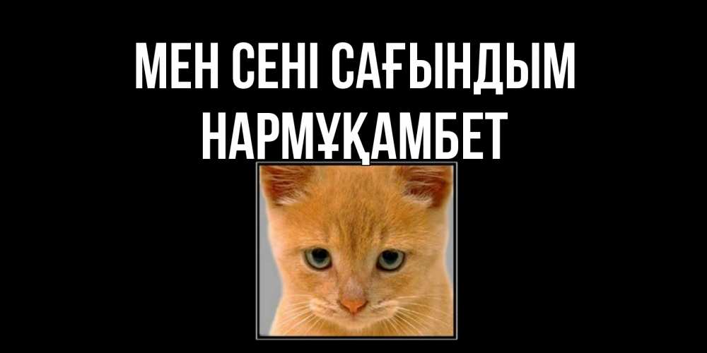Күн сайын ашық хат с именем, НАРМҰҚАМБЕТ Мен сені сағындым открытки рыжий котенок скучает по тебе Онлайн тегін жүктеп алу тілектері бар керемет карта 