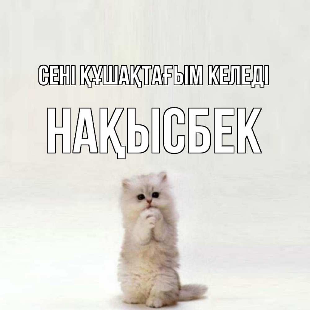 Күн сайын ашық хат с именем, НАҚЫСБЕК сені құшақтағым келеді открытки с креативными подписями Онлайн тегін жүктеп алу тілектері бар керемет карта 