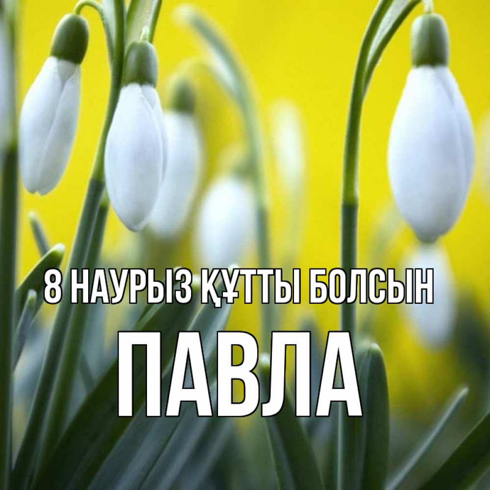 Күн сайын ашық хат с именем, Павла 8 наурыз құтты болсын весенние цветы Онлайн тегін жүктеп алу тілектері бар керемет карта 