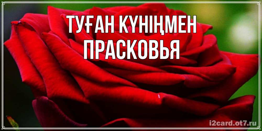 Күн сайын ашық хат с именем, Прасковья Туған күніңмен розочка очень красивая Онлайн тегін жүктеп алу тілектері бар керемет карта 