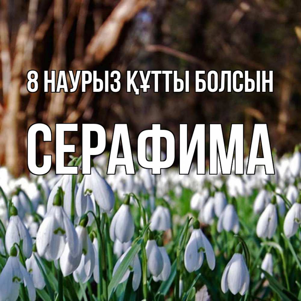 Күн сайын ашық хат с именем, Серафима 8 наурыз құтты болсын с подснежниками 1 Онлайн тегін жүктеп алу тілектері бар керемет карта 