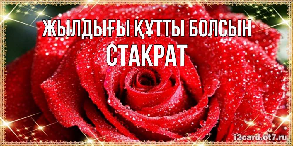 Күн сайын ашық хат с именем, Стакрат Жылдығы құтты болсын роса и роза. открытка с красивой розой Онлайн тегін жүктеп алу тілектері бар керемет карта 
