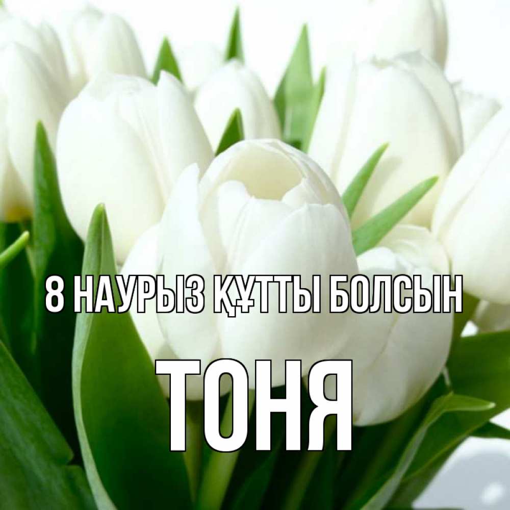 Күн сайын ашық хат с именем, Тоня 8 наурыз құтты болсын цветы Онлайн тегін жүктеп алу тілектері бар керемет карта 