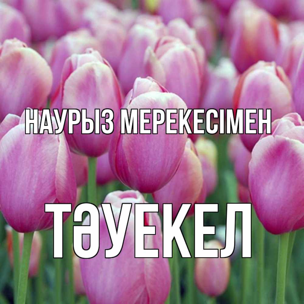 Күн сайын ашық хат с именем, ТӘУЕКЕЛ Наурыз мерекесімен праздник весны наурыз 69 Онлайн тегін жүктеп алу тілектері бар керемет карта 