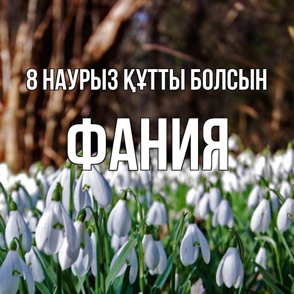 Күн сайын ашық хат с именем, Фания 8 наурыз құтты болсын с подснежниками 1 Онлайн тегін жүктеп алу тілектері бар керемет карта 