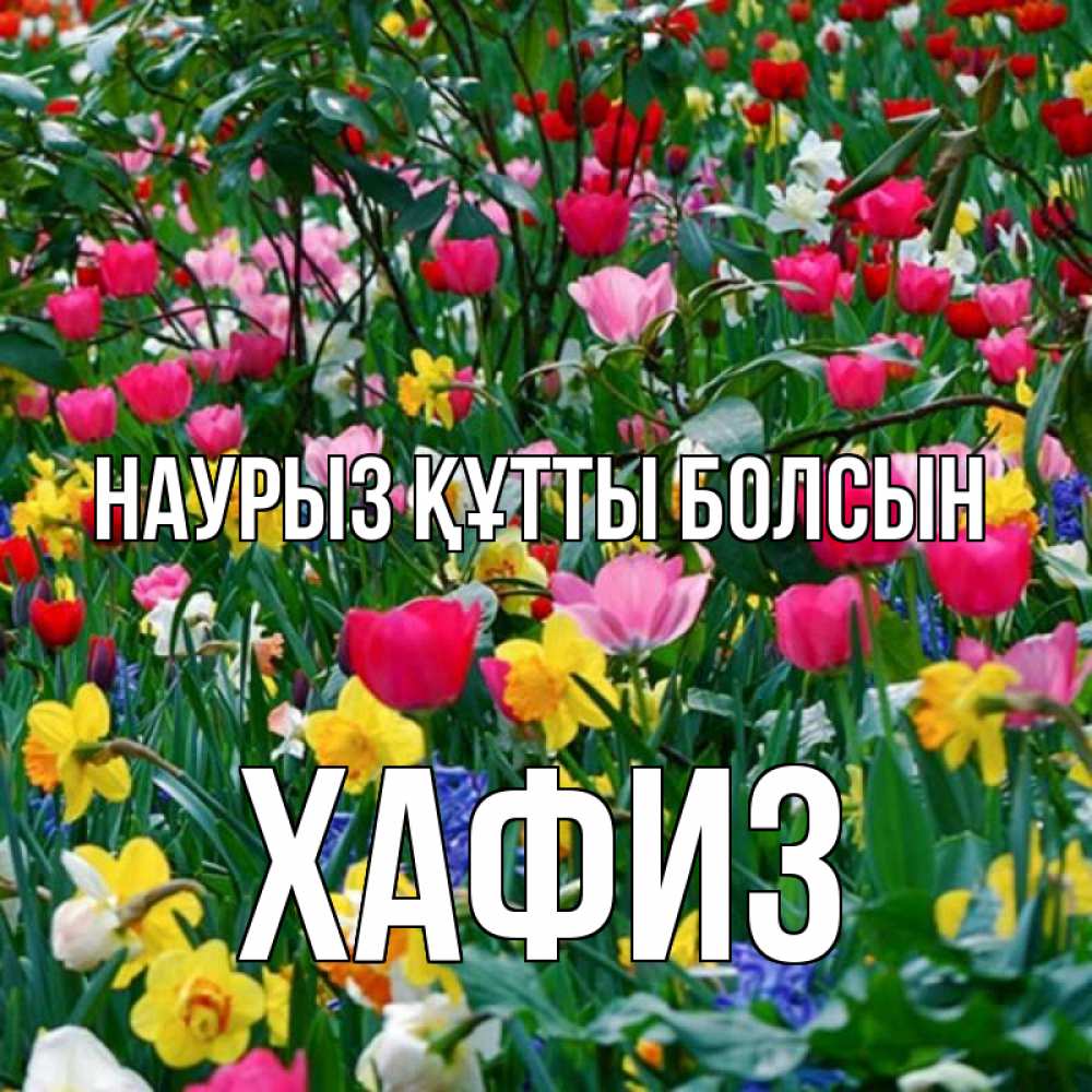 Күн сайын ашық хат с именем, ХАФИЗ Наурыз құтты болсын с наурызом поздравления для женщины Онлайн тегін жүктеп алу тілектері бар керемет карта 