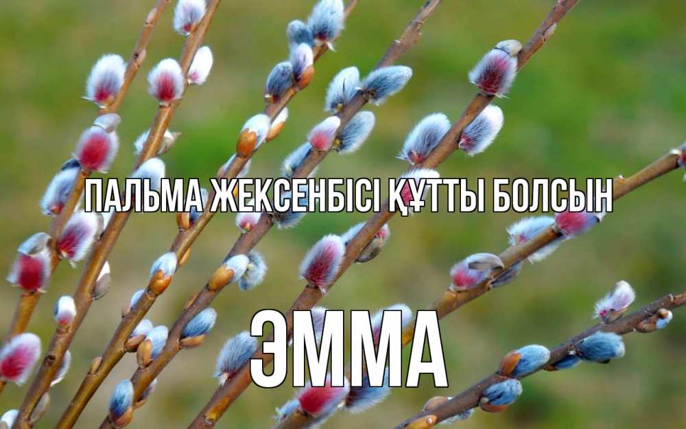 Күн сайын ашық хат с именем, Эмма Пальма жексенбісі құтты болсын верба Онлайн тегін жүктеп алу тілектері бар керемет карта 