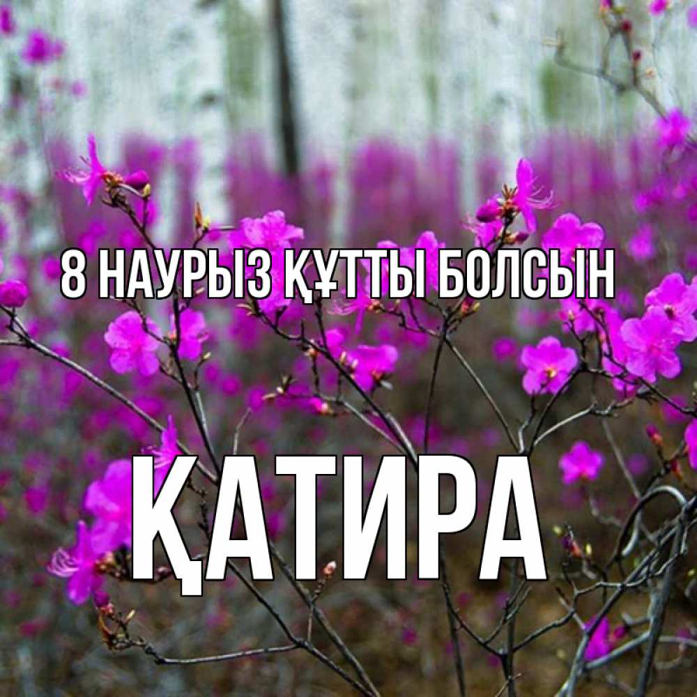 Күн сайын ашық хат с именем, ҚАТИРА 8 наурыз құтты болсын дикие цветы Онлайн тегін жүктеп алу тілектері бар керемет карта 