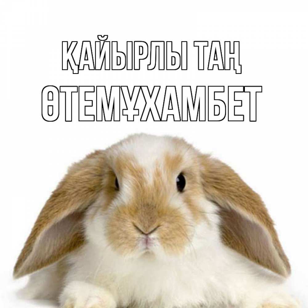 Күн сайын ашық хат с именем, ӨТЕМҰХАМБЕТ Қайырлы таң прикольные открытки на каждый день Онлайн тегін жүктеп алу тілектері бар керемет карта 