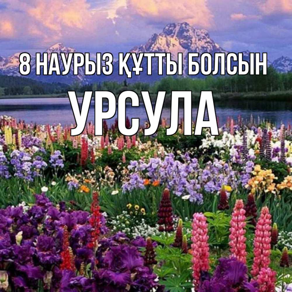 Күн сайын ашық хат с именем, Урсула 8 наурыз құтты болсын международный женский день Онлайн тегін жүктеп алу тілектері бар керемет карта 