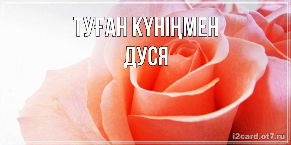 Күн сайын ашық хат с именем, Дуся Туған күніңмен розы для поздравления с днем рождения Онлайн тегін жүктеп алу тілектері бар керемет карта 