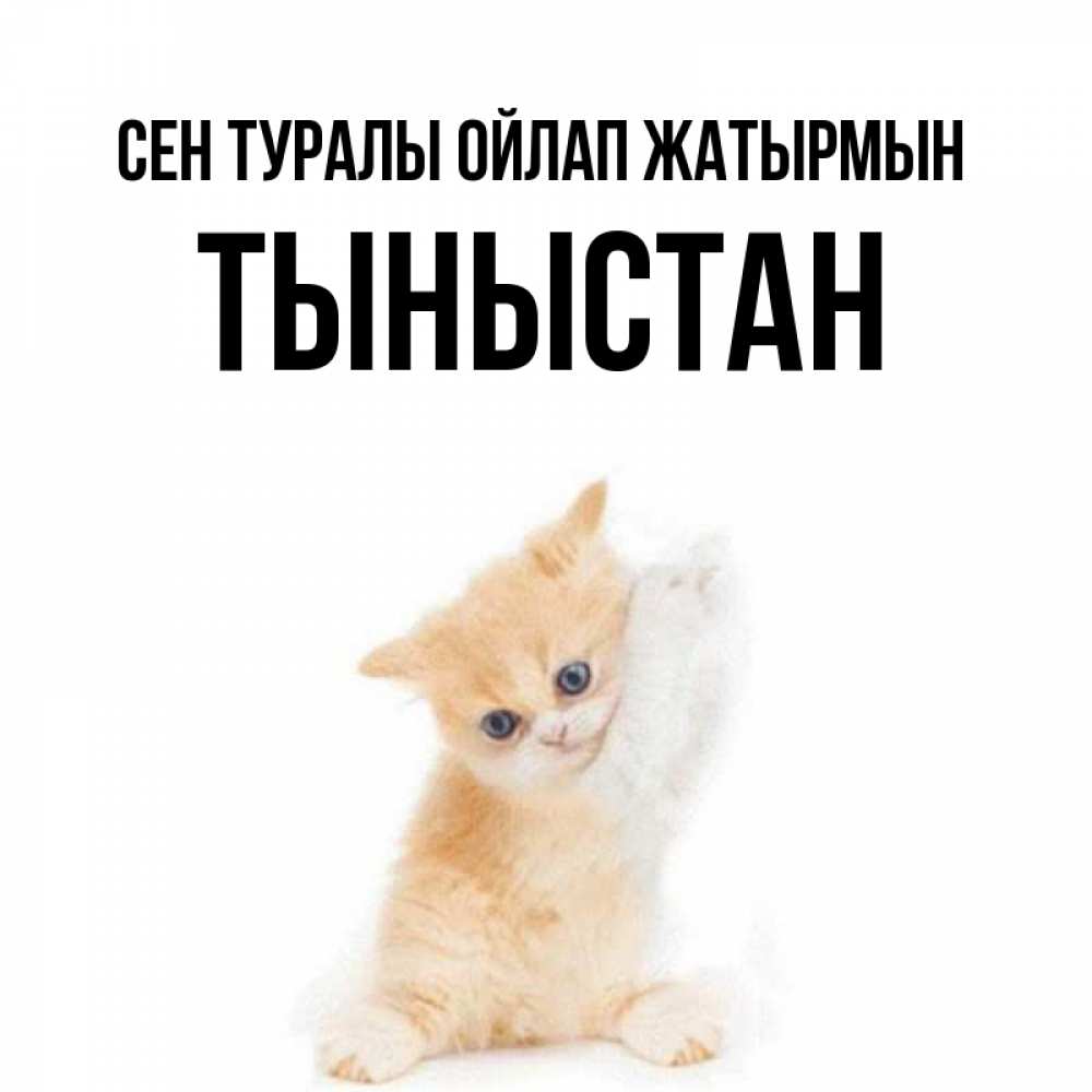 Күн сайын ашық хат с именем, ТЫНЫСТАН Сен туралы ойлап жатырмын зверушки и милота Онлайн тегін жүктеп алу тілектері бар керемет карта 