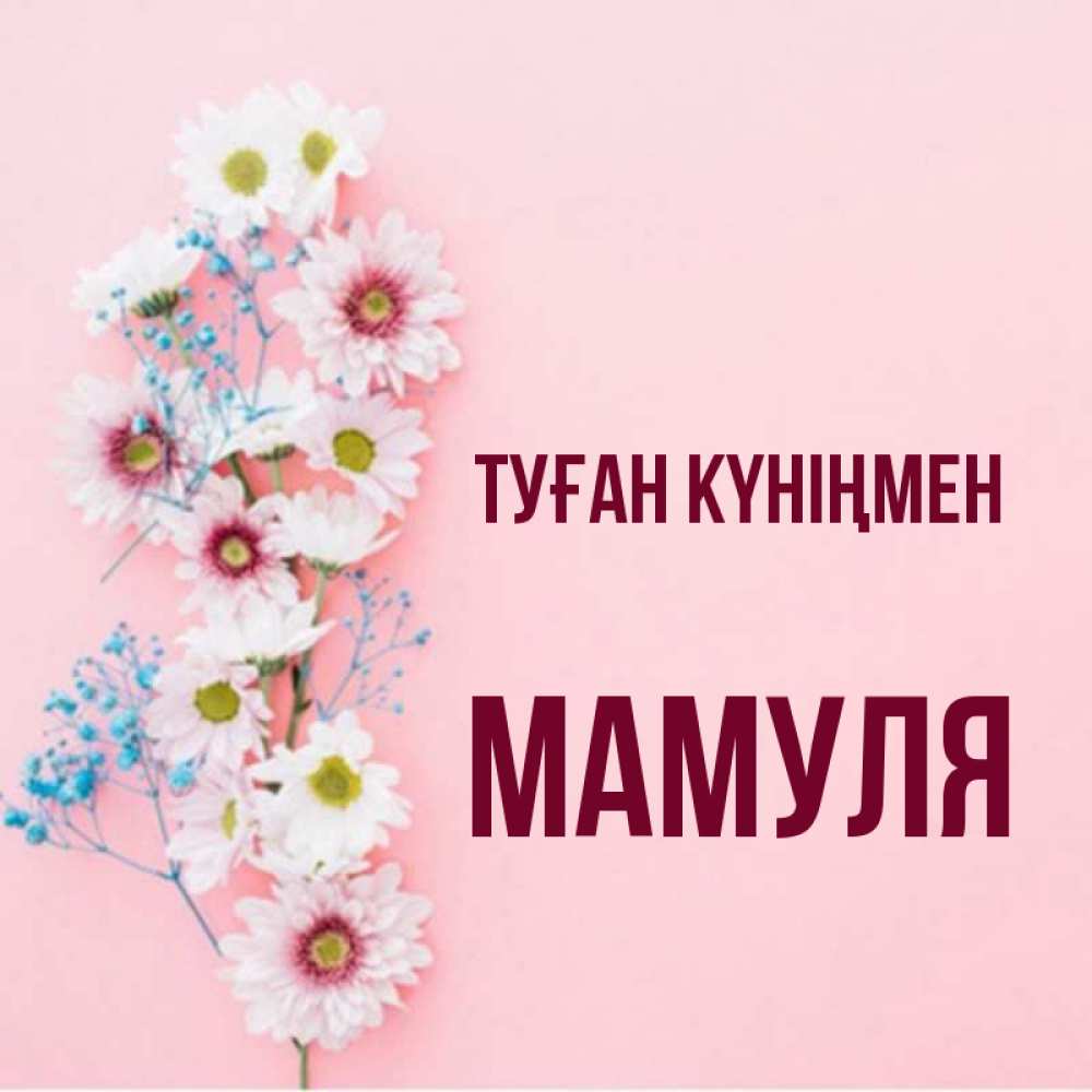 Күн сайын ашық хат с именем, Мамуля Туған күніңмен Родная моя с днем рождения тебя картинка с цветами белыми и голубыми Онлайн тегін жүктеп алу тілектері бар керемет карта 