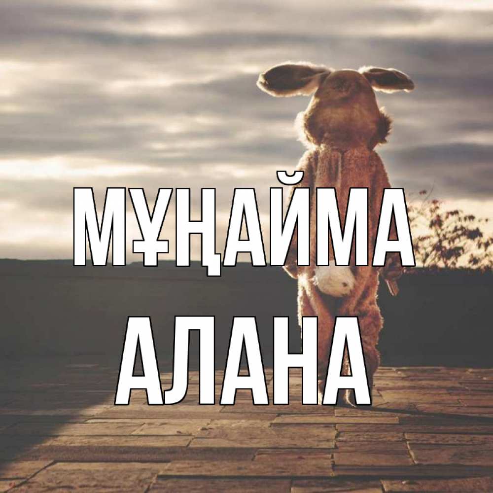 Күн сайын ашық хат с именем, Алана Мұңайма со спины Онлайн тегін жүктеп алу тілектері бар керемет карта 