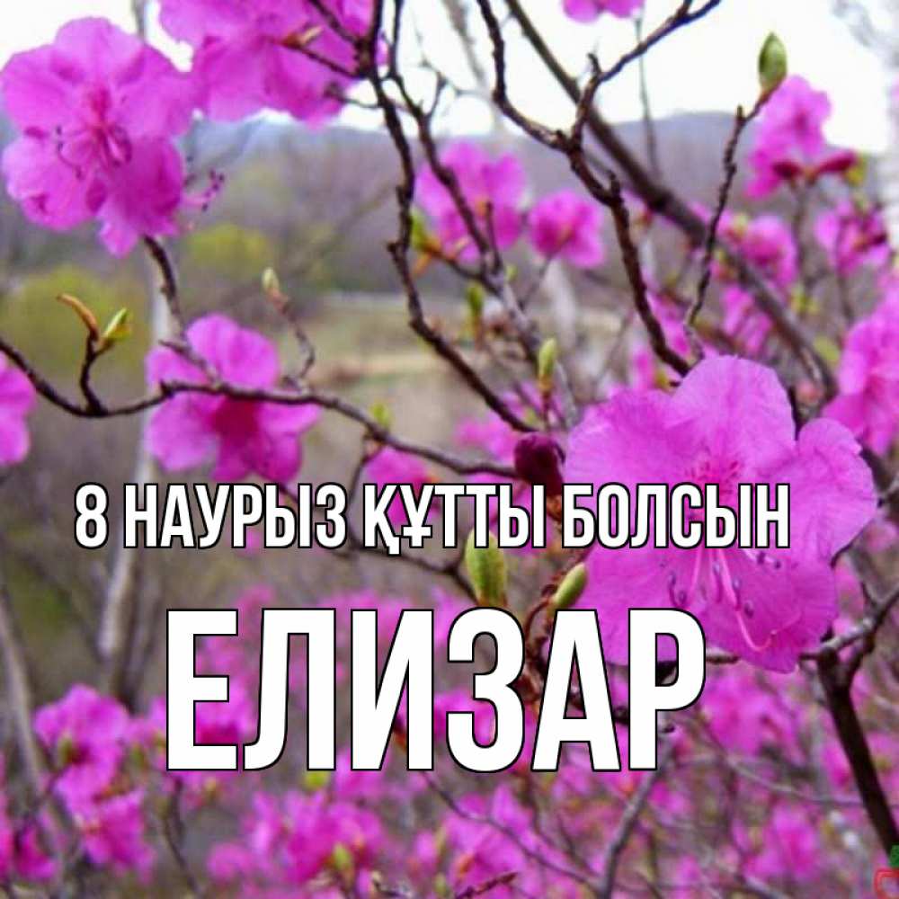 Күн сайын ашық хат с именем, Елизар 8 наурыз құтты болсын международный женский день Онлайн тегін жүктеп алу тілектері бар керемет карта 
