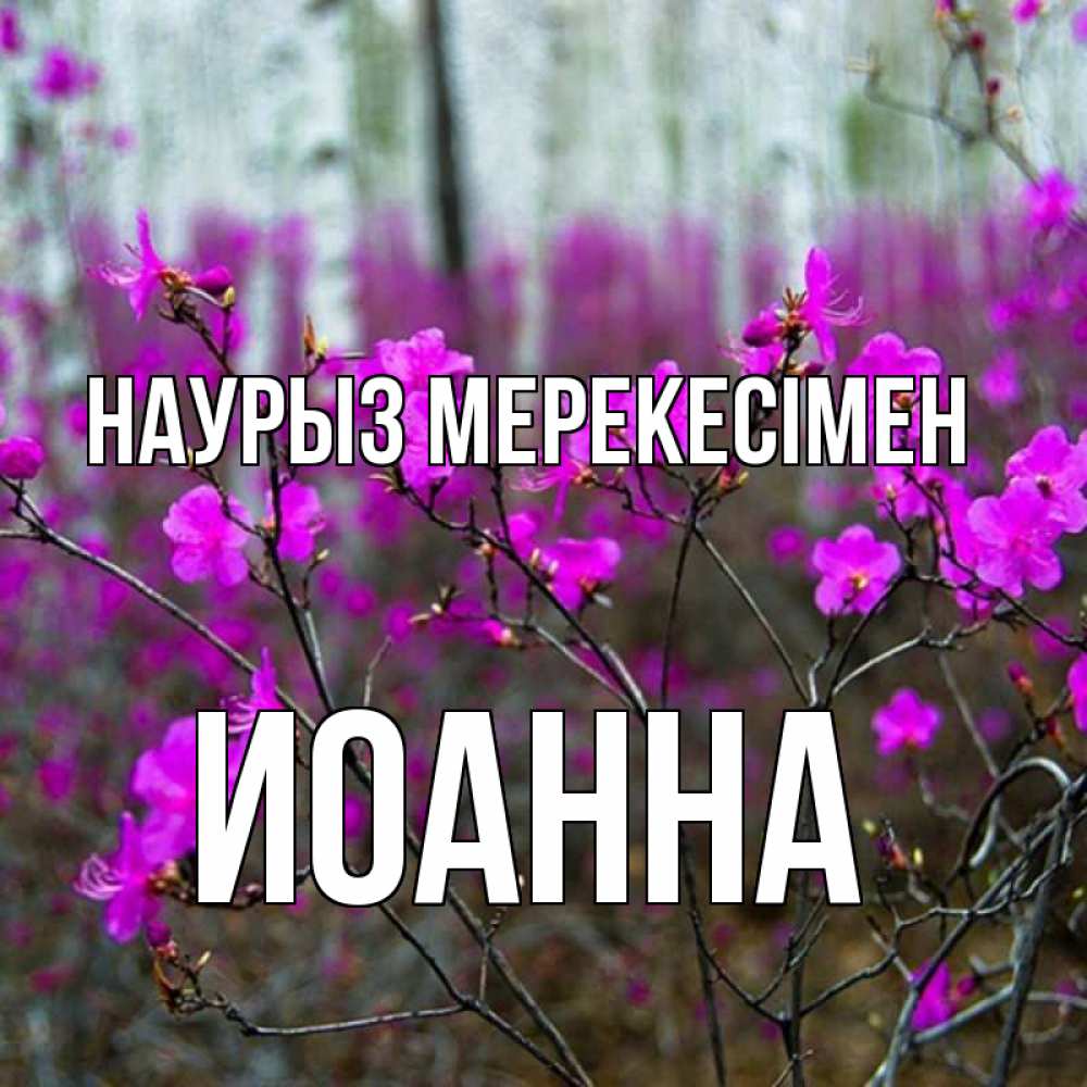Күн сайын ашық хат с именем, Иоанна Наурыз мерекесімен дикие цветы Онлайн тегін жүктеп алу тілектері бар керемет карта 