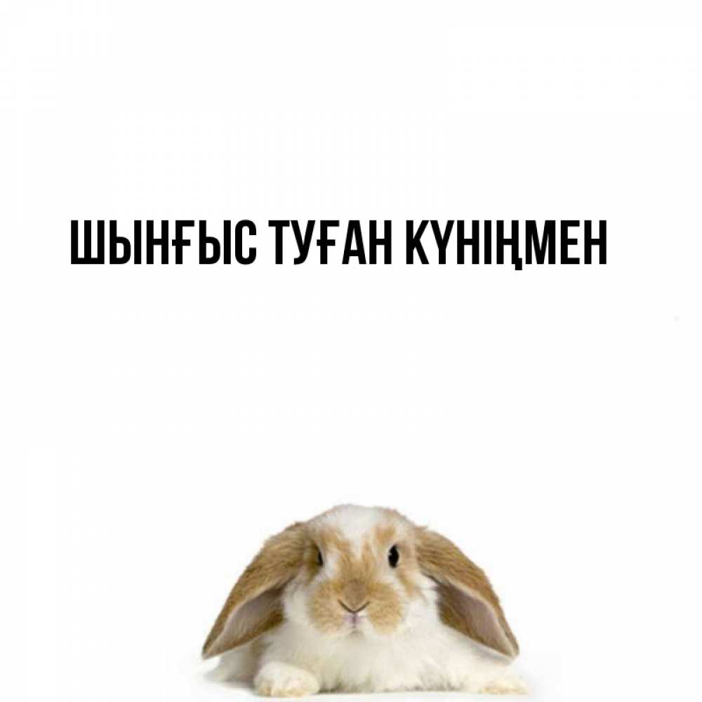 Картинка  с именем , ШЫНҒЫС! ТУҒАН КҮНІҢМЕН!