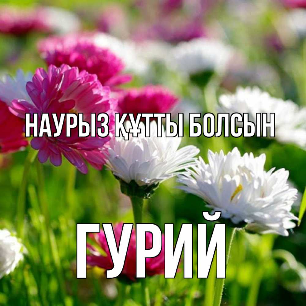 Күн сайын ашық хат с именем, Гурий Наурыз құтты болсын наурыз Онлайн тегін жүктеп алу тілектері бар керемет карта 
