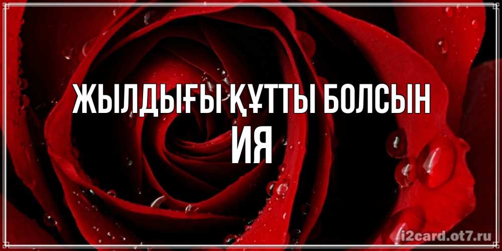 Күн сайын ашық хат с именем, Ия Жылдығы құтты болсын крупная бордовая роза Онлайн тегін жүктеп алу тілектері бар керемет карта 