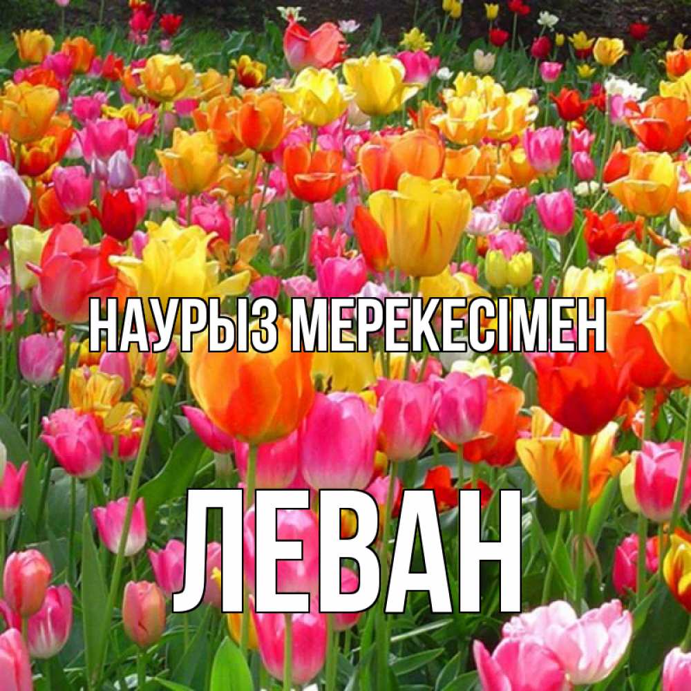 Күн сайын ашық хат с именем, Леван Наурыз мерекесімен праздник весны наурыз 4 Онлайн тегін жүктеп алу тілектері бар керемет карта 