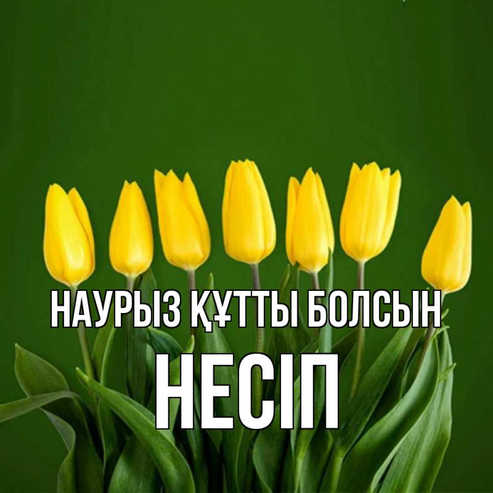 Күн сайын ашық хат с именем, НЕСІП Наурыз құтты болсын желтого цвета 3 Онлайн тегін жүктеп алу тілектері бар керемет карта 