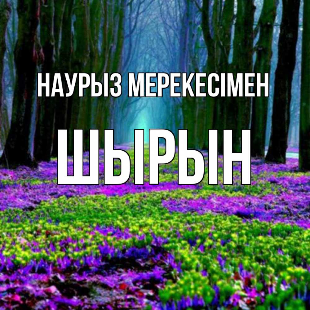 Күн сайын ашық хат с именем, ШЫРЫН Наурыз мерекесімен фиолетовые цветы в лесу 1 Онлайн тегін жүктеп алу тілектері бар керемет карта 